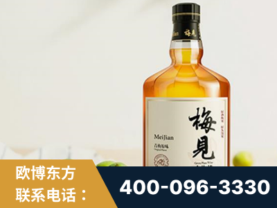 扶余-梅见青梅酒